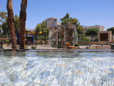 Petra University